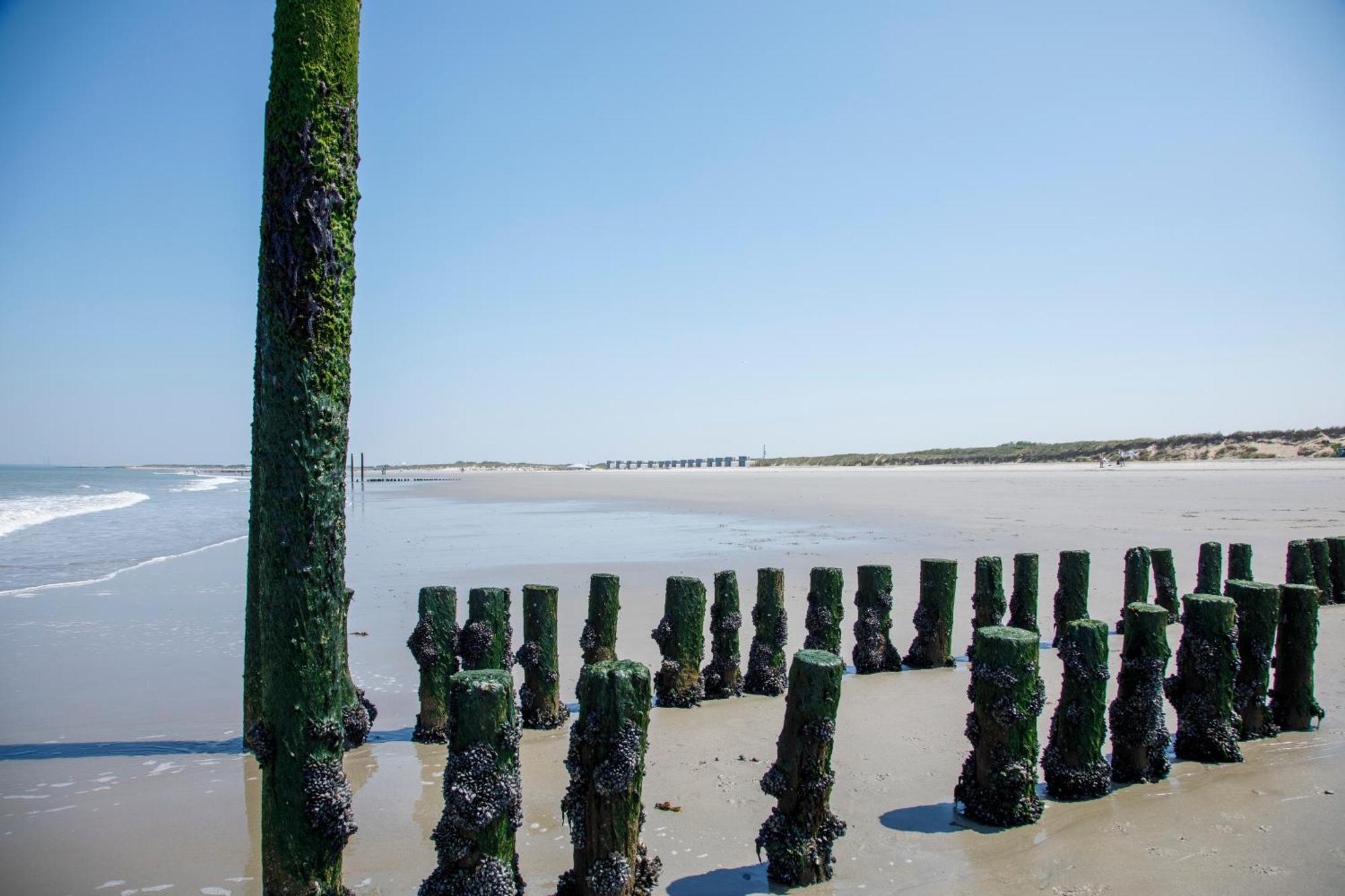 Zonneweelde, Vakantie Aan Zee Nieuwvliet Exterior photo